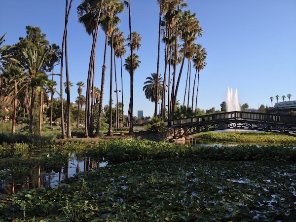 Echo Park Lake 5