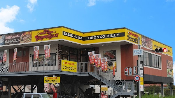 Bronco Billy 1