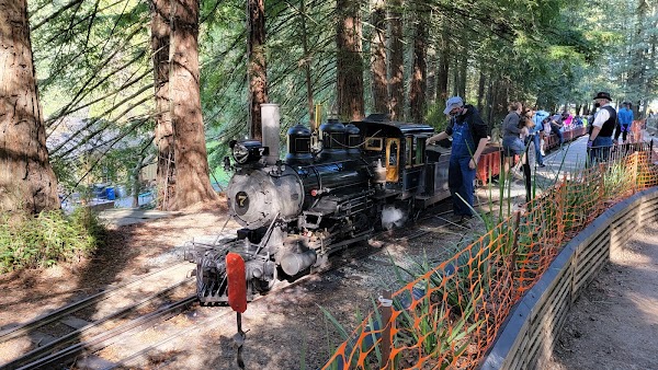 Tilden Park Steam Train at the Redwood Valley Railway 5