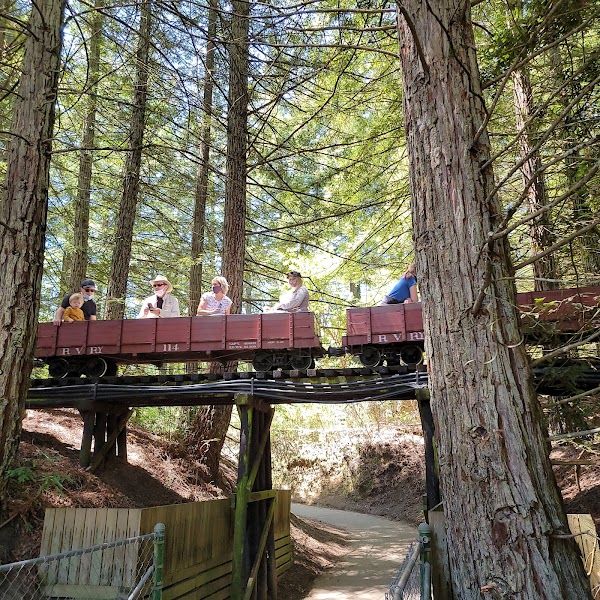 Tilden Park Steam Train at the Redwood Valley Railway 3