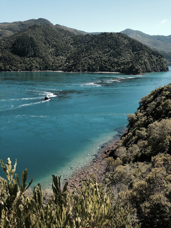 Te Aumiti / French Pass 1