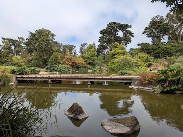 San Francisco Botanical Garden 6