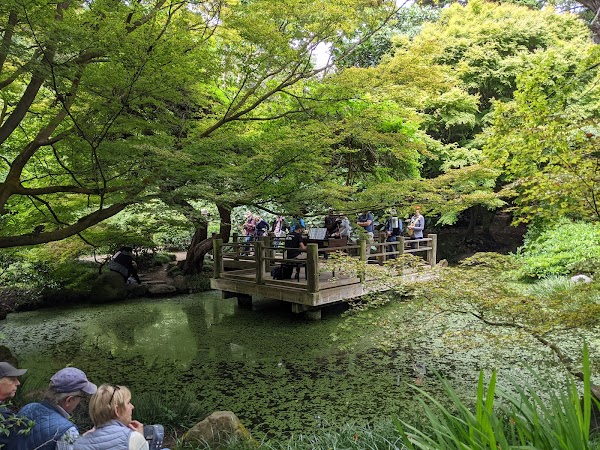San Francisco Botanical Garden 5
