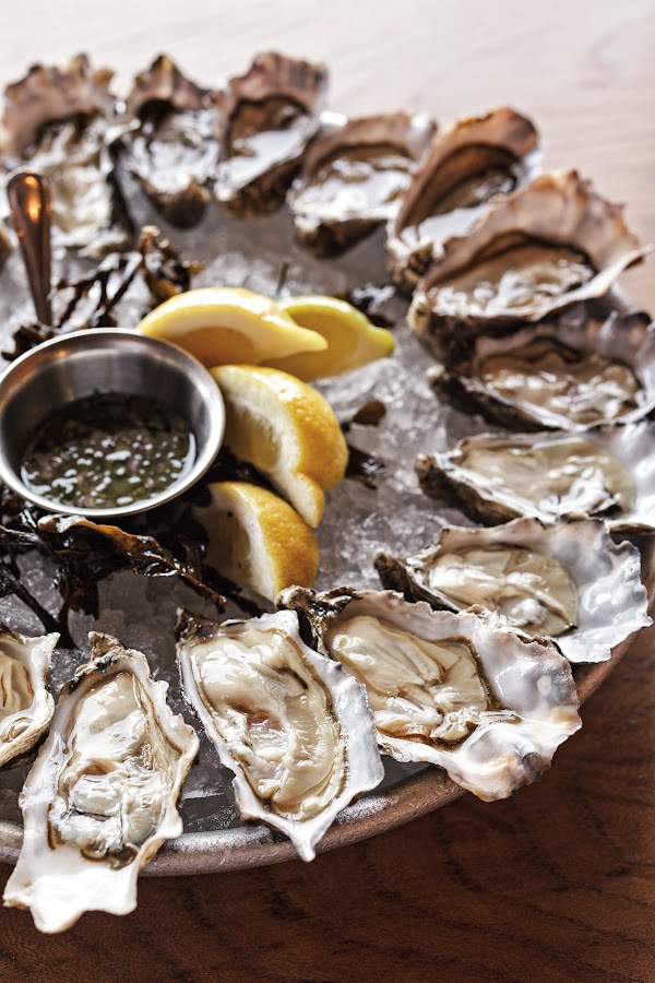Hog Island Oyster Co. 5