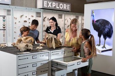 Queensland Museum