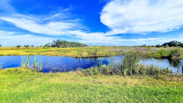 Kissimmee Prairie Preserve State Park 5