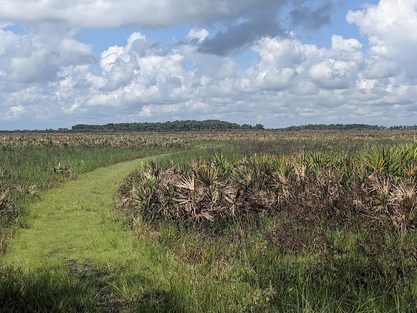 Kissimmee Prairie Preserve State Park 4