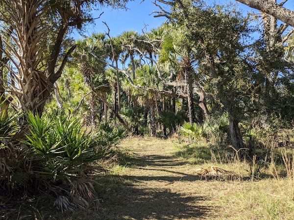 Kissimmee Prairie Preserve State Park 3