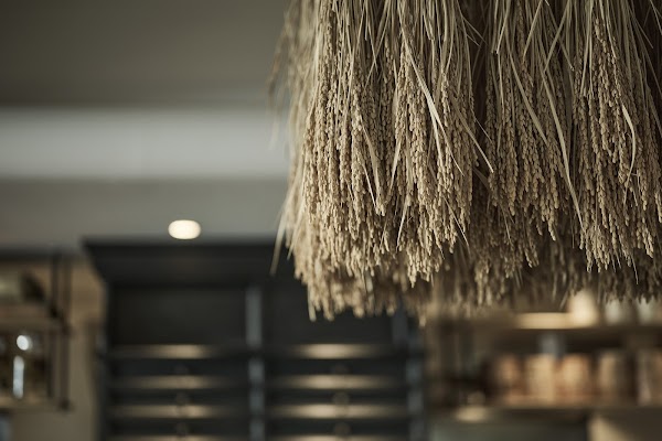 Brown Rice Tokyo Omotesando 3