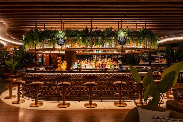 Los Mochis London City