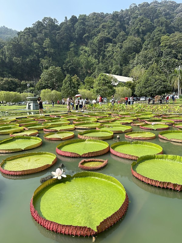 Penang Botanic Gardens 6