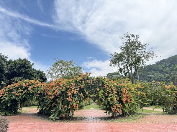 Penang Botanic Gardens 3