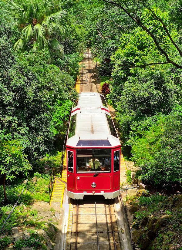 Central Green Trail 2