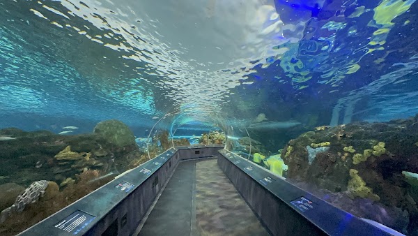 Ripley's Aquarium of Canada