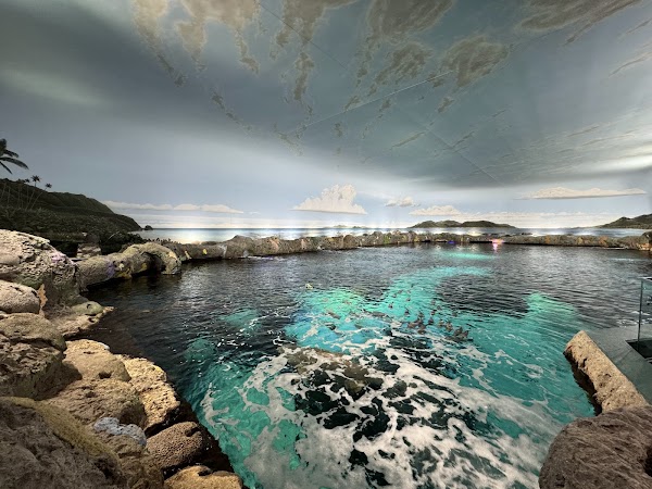 Ripley's Aquarium of Canada 2