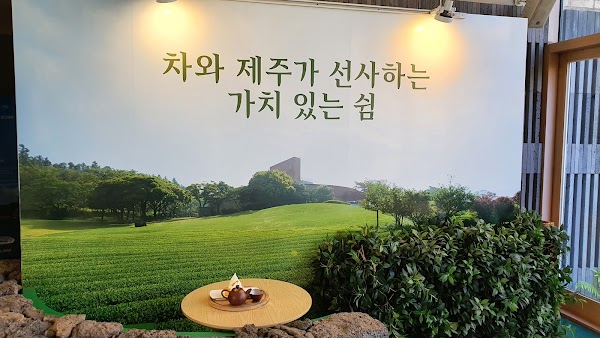 Osulloc Green Tea Field 2