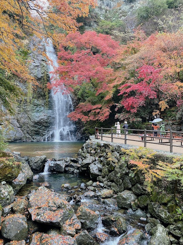 Minoh National Park 4