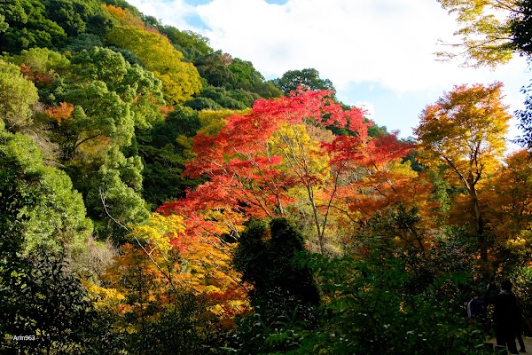 Minoh National Park 2