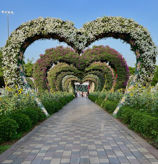 Dubai Miracle Garden 1