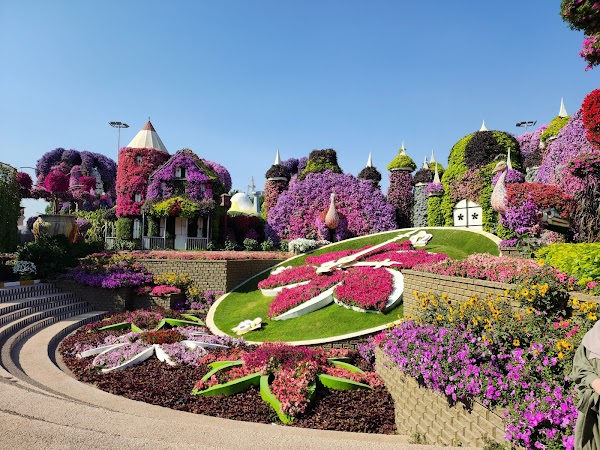 Dubai Miracle Garden 5