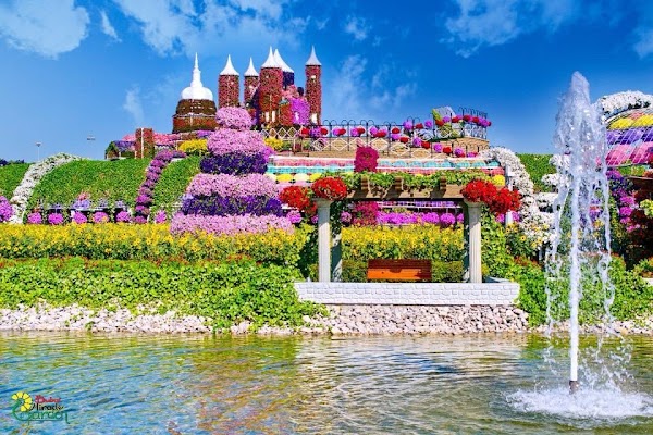 Dubai Miracle Garden 4
