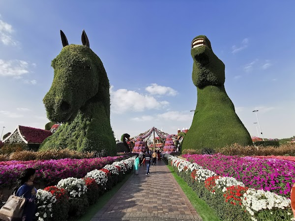 Dubai Miracle Garden 2