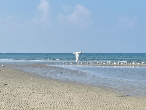 Qurum Beach 3