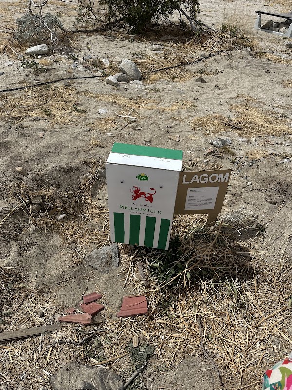 Desert X Immersion 4