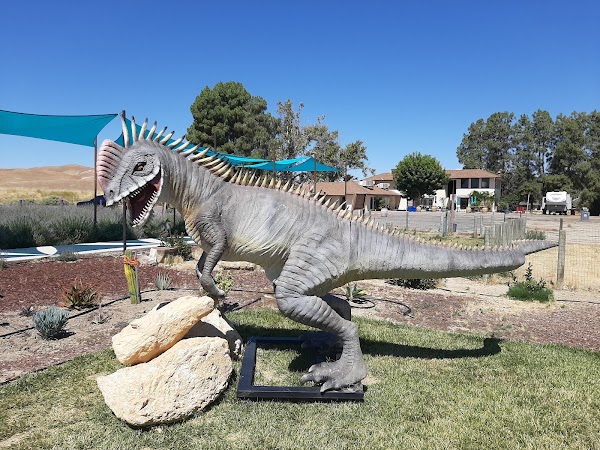 The Lavender Garden 2