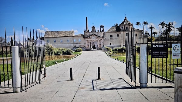 Alma Mater Terraza Restaurante 3