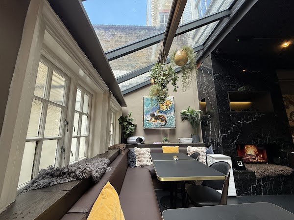 Java Whiskers Cat Café Marylebone 5