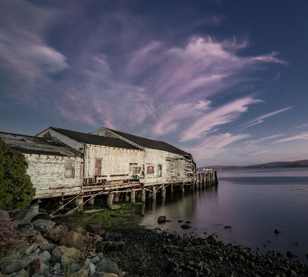 Bodega Bay