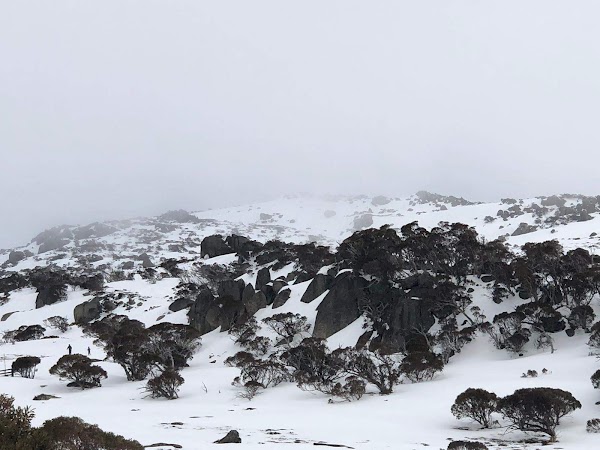 Snowy Mountains
