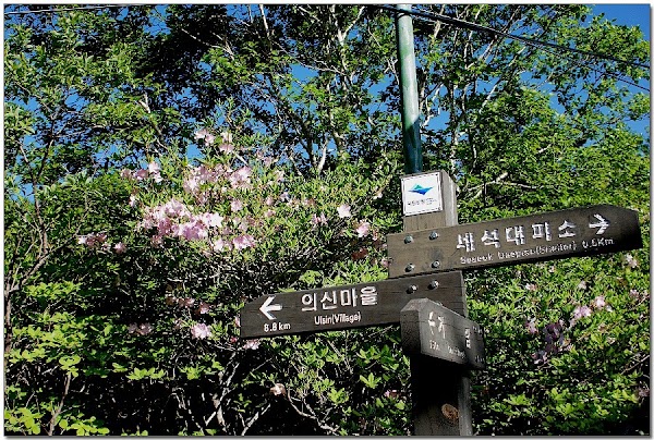 Jirisan National Park 3