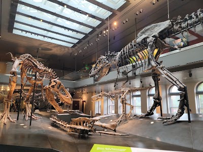 Natural History Museum of Los Angeles County