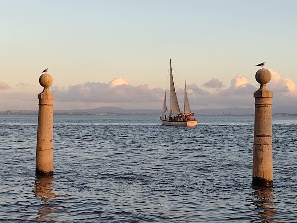 Lisbon's Enchanting Embrace: A Day of Discovery and Delight 3