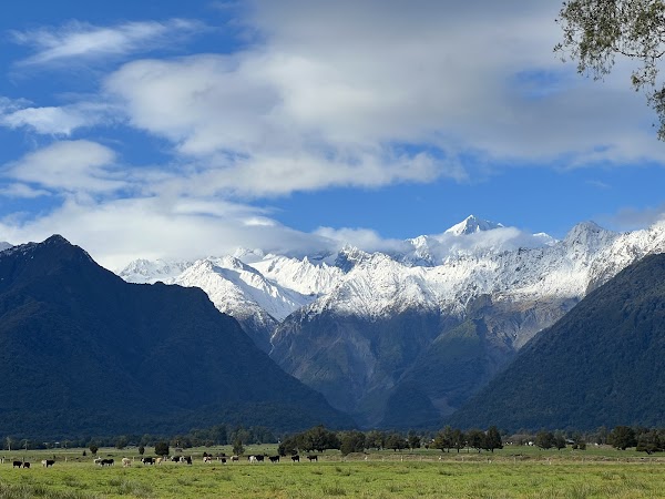Lake Matheson Walk 5