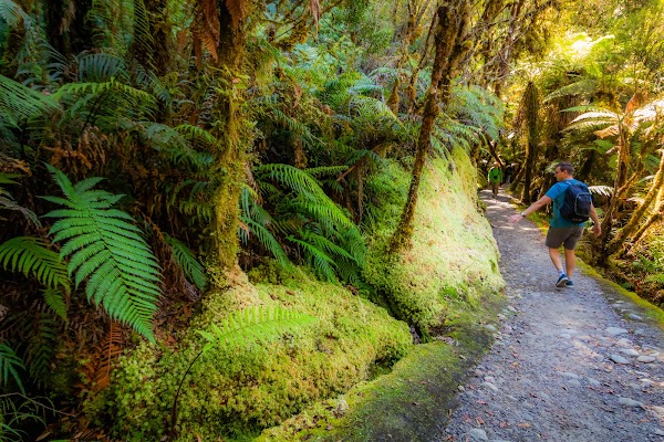 Lake Matheson Walk 2