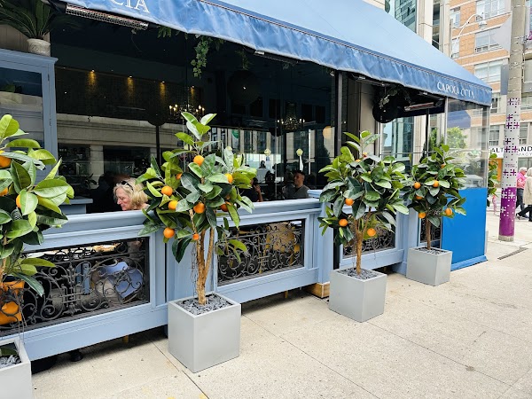 Capocaccia Trattoria 1