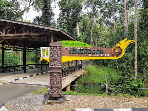 Semenggoh Wildlife Centre