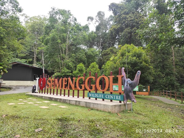 Semenggoh Wildlife Centre 2