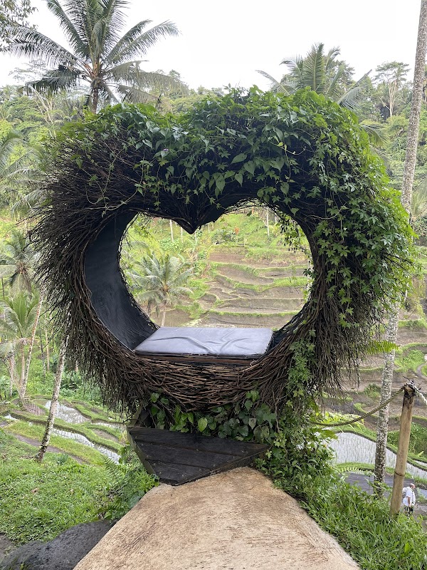 Rice Terrace Trekking & Swing Uma Ceking 4