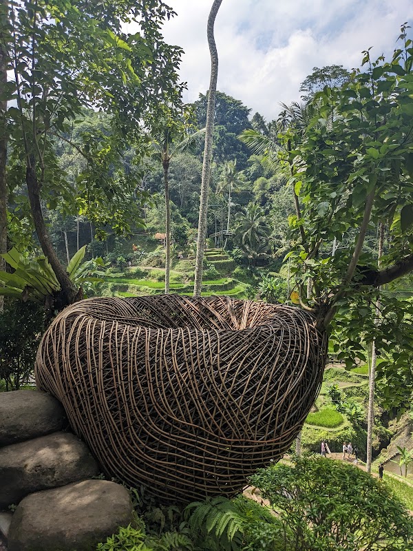 Rice Terrace Trekking & Swing Uma Ceking 3