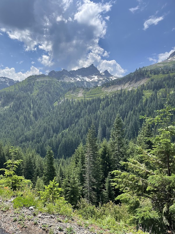 Mt. Rainier National Park Sign 5