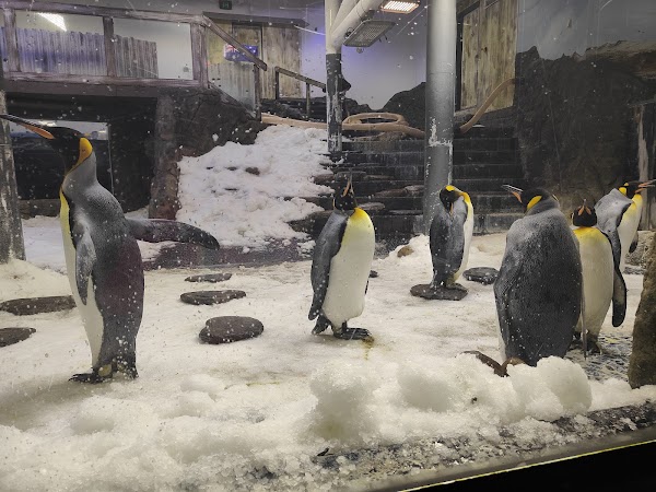 SEA LIFE Sydney Aquarium 4