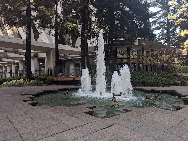 Transamerica Redwood Park 1