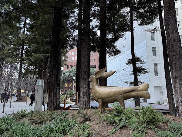 Transamerica Redwood Park 6