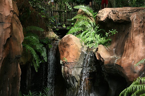 Maharajah Jungle Trek 3