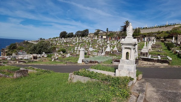 Bondi to Coogee Walk 3