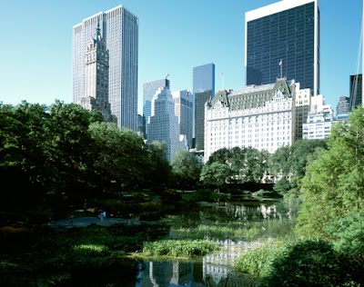 The Plaza